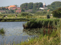 Der Husumer Binnenhafen